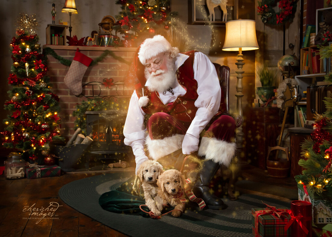 Santa Claus With Puppies at his magical workshop in Boise Idaho photographed during The Santa Experience by Cherished Images