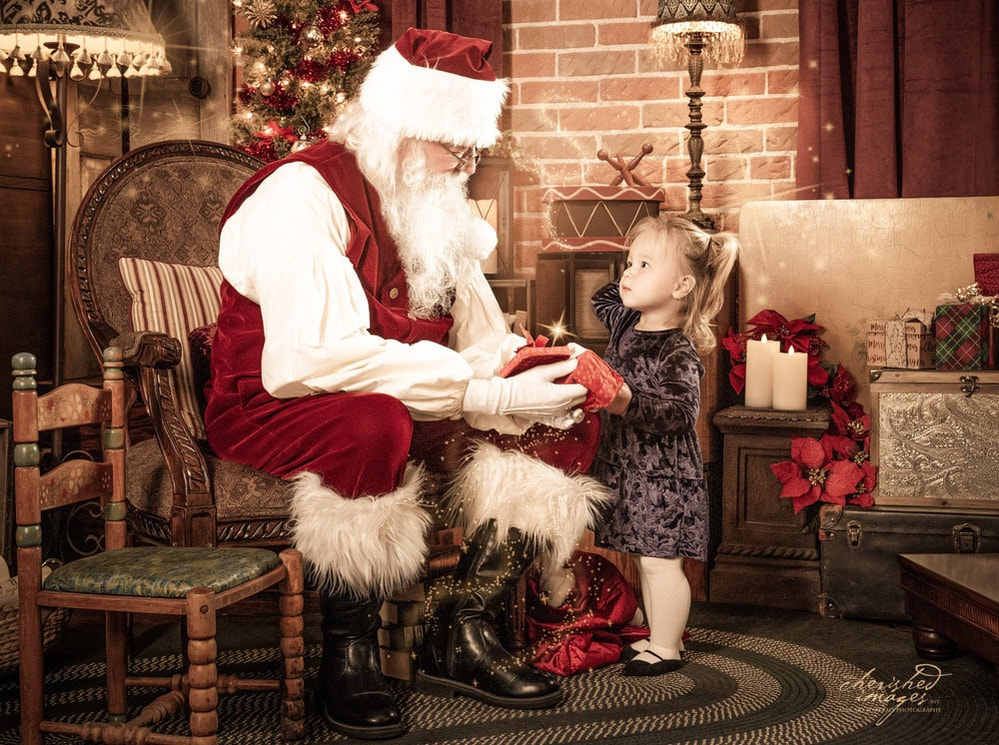 Santa Claus With Puppies at his magical workshop in Boise Idaho photographed during The Santa Experience by Cherished Images